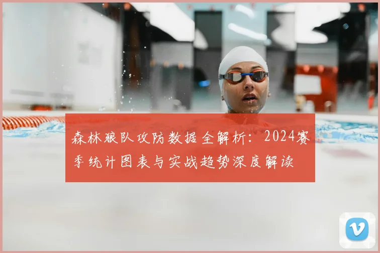 森林狼队攻防数据全解析：2024赛季统计图表与实战趋势深度解读
