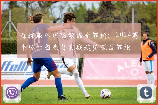 森林狼队攻防数据全解析：2024赛季统计图表与实战趋势深度解读